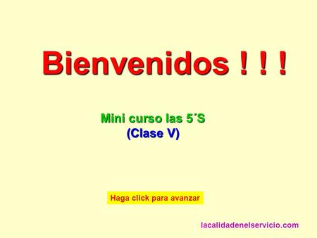 Bienvenidos ! ! ! Mini curso las 5´S (Clase V) lacalidadenelservicio.com Haga click para avanzar.