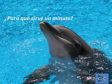 ¿Para qué sirve un minuto?