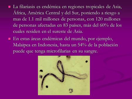 La filariasis es endémica en regiones tropicales de Asia, África, América Central y del Sur, poniendo a riesgo a mas de 1.1 mil millones de personas, con.
