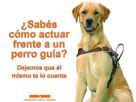 AVANZAR CON EL MOUSE ¡Hola! Soy un perro guía y quiero enseñarte cómo debes actuar, cuando te encuentres conmigo en compañía de mi amo ciego.