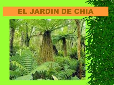 EL JARDIN DE CHIA. E l jardín de mi casa es enorme. Tan grande, tan grande que ni papá ni mamá han conseguido recorrerlo entero. A mí sólo me dejan.