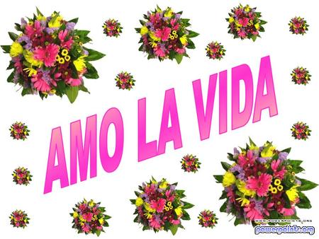 AMO LA VIDA.