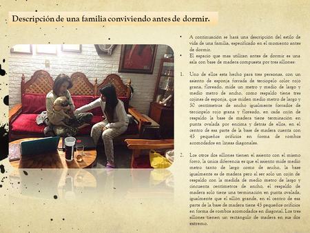 Descripción de una familia conviviendo antes de dormir. A continuación se hará una descripción del estilo de vida de una familia, especificado en el momento.