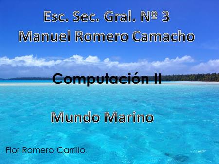 Esc. Sec. Gral. Nº 3 Manuel Romero Camacho Mundo Marino