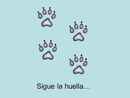 Sigue la huella….