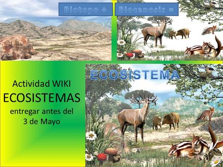 Actividad WIKI ECOSISTEMAS entregar antes del 3 de Mayo.