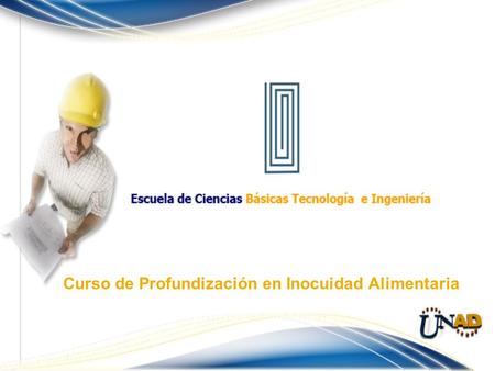 Curso de Profundización en Inocuidad Alimentaria.