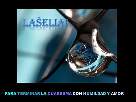 PARA TERMINAR LA CUARESMA CON HUMILDAD Y AMOR DENTRO DE UNA SIMPLE GOTA DE AGUA PUEDE ESTAR TODA LA BELLEZA DEL UNIVERSO……