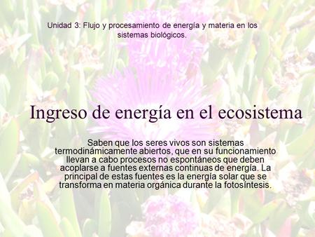 Ingreso de energía en el ecosistema