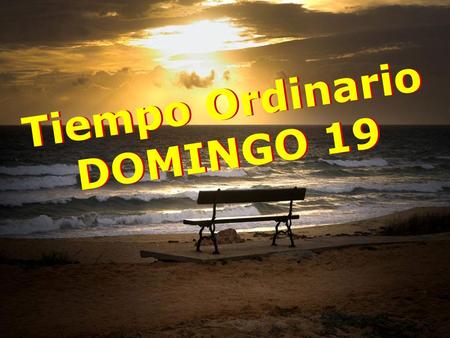 Tiempo Ordinario DOMINGO 19.