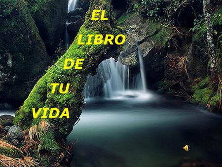 EL LIBRO DE TU VIDA.
