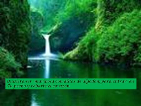 Quisiera ser  mariposa con alitas de algodón, para entrar  en