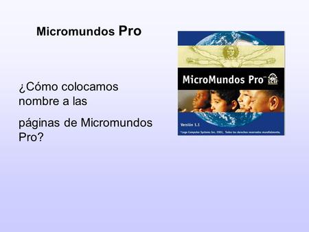 Micromundos Pro ¿Cómo colocamos nombre a las