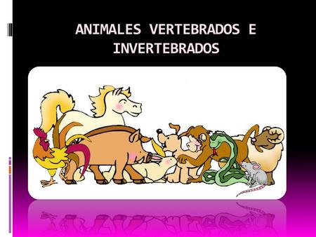 ANIMALES VERTEBRADOS E INVERTEBRADOS