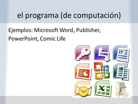 el programa (de computación)