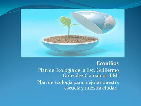 Econiños Plan de Ecología de la Esc. Guillermo González C amarena T.M.