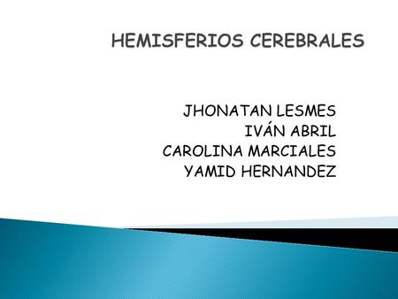 HEMISFERIOS CEREBRALES
