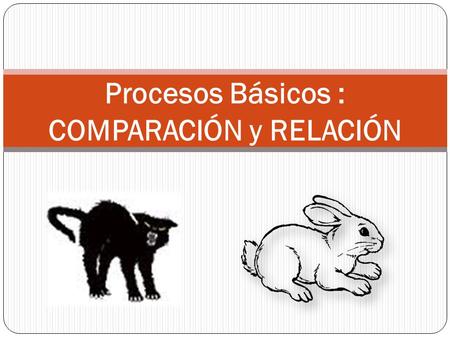 Procesos Básicos : COMPARACIÓN y RELACIÓN