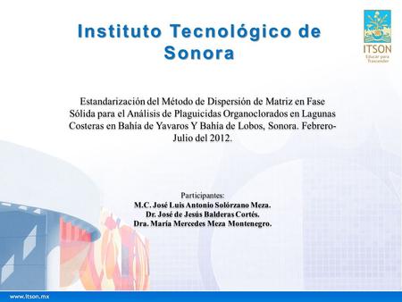 Instituto Tecnológico de Sonora. Problema de Investigación ¿Qué efectos fisicoquímicos tendrá la naturaleza de la matriz agua marina y sobre los adsorbentes.