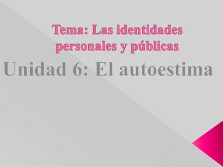 Tema: Las identidades personales y públicas