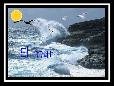El mar.