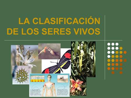LA CLASIFICACIÓN DE LOS SERES VIVOS