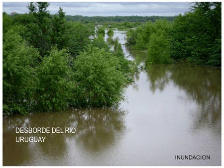 DESBORDE DEL RIO URUGUAY INUNDACION CUANDO EL RIO CRECE DEBIDO A LAS LLUVIAS DEL NORTE Y SUR DE ENTRE RIOS.