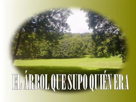 EL ÁRBOL QUE SUPO QUIÉN ERA