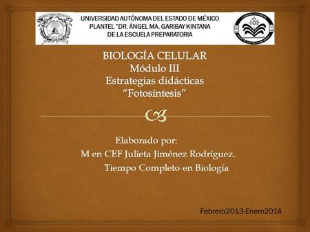 Elaborado por: M en CEF Julieta Jiménez Rodríguez. M en CEF Julieta Jiménez Rodríguez. Tiempo Completo en Biología Tiempo Completo en Biología.