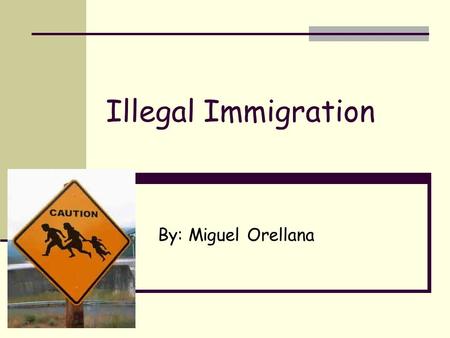 Illegal Immigration By: Miguel Orellana. Format Reasons for illegal immigration Cases Perspectives Connections to AK Solutions.