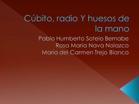 Cúbito, radio Y huesos de la mano