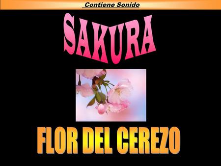 Contiene Sonido Contiene Sonido Las flores del cerezo suelen caer muy pronto. La flor del sakura es delicada y con el viento enseguida cae. Así, se puede.
