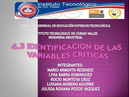 El cultivo de la caña de azúcar. Brasil es el mayor productor y exportador, seguido de China y la India. Datos del Sindicato de la Industria de Caña de.