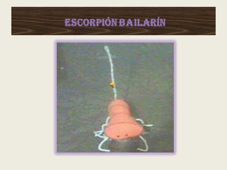 ESCORPIÓN BAILARÍN.