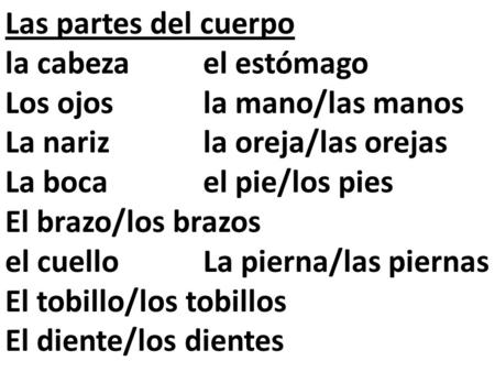 Las partes del cuerpo la cabezael estómago Los ojos la mano/las manos La nariz la oreja/las orejas La bocael pie/los pies El brazo/los brazos el cuello.