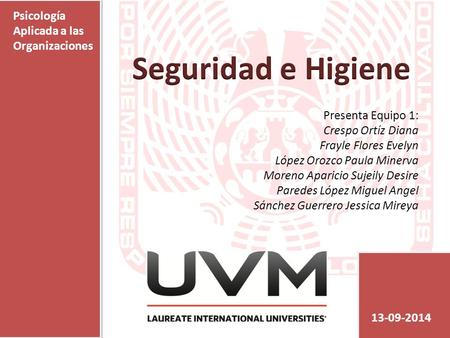 Seguridad e Higiene Psicología Aplicada a las Organizaciones