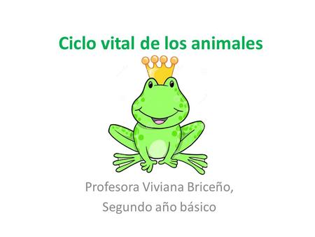 Ciclo vital de los animales