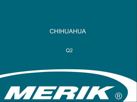 CHIHUAHUA Q2. TRAYECTO 2008 Ingreso soporte técnico 2009 Ventas residencial 2010 Gerencia sucursal torreón 2012 Gerencia sucursal chihuahua.