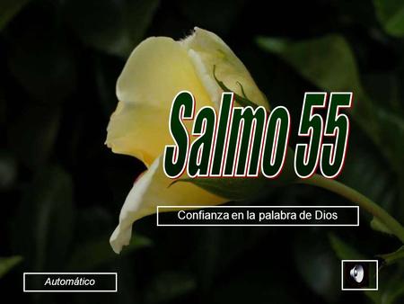 Confianza en la palabra de Dios