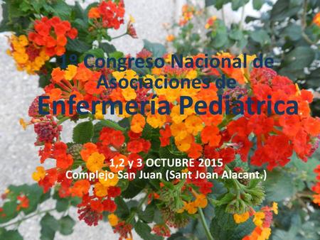 1º Congreso Nacional de Asociaciones de Enfermería Pediátrica. 1,2 y 3 OCTUBRE 2015 Complejo San Juan (Sant Joan Alacant.)