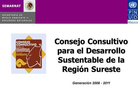 Consejo Consultivo para el Desarrollo Sustentable de la Región Sureste Consejo Consultivo para el Desarrollo Sustentable de la Región Sureste Generación.