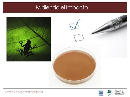 CAMPAIGN FOR A RARE PLANET/AZE o Midiendo el Impacto.