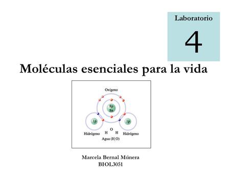 Moléculas esenciales para la vida
