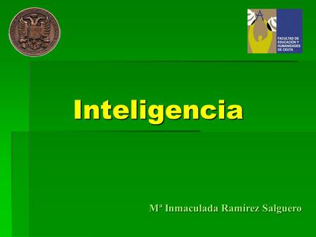 Inteligencia Mª Inmaculada Ramírez Salguero.