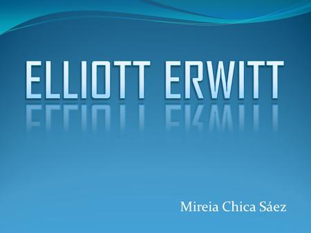ELLIOTT ERWITT Mireia Chica Sáez.