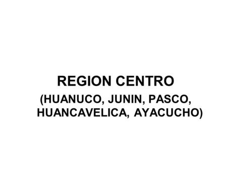 REGION CENTRO (HUANUCO, JUNIN, PASCO, HUANCAVELICA, AYACUCHO)