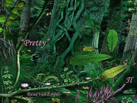Π “Pretty” Ruud Van Empel.