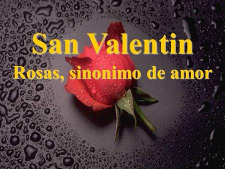 San Valentin Rosas, sinonimo de amor.