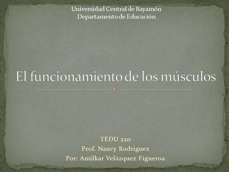 TEDU 220 Prof. Nancy Rodriguez Por: Amilkar Velázquez Figueroa Universidad Central de Bayamón Departamento de Educación.