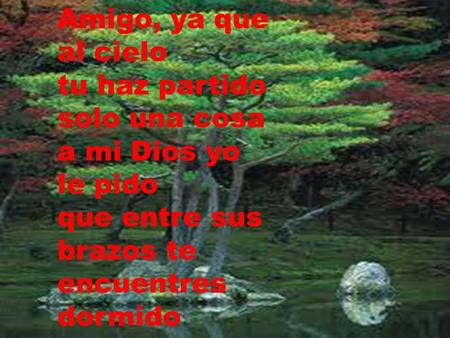 Amigo, ya que al cielo tu haz partido solo una cosa a mi Dios yo le pido que entre sus brazos te encuentres dormido.